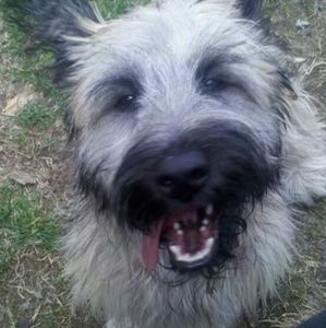 Meet your Posher, Kay